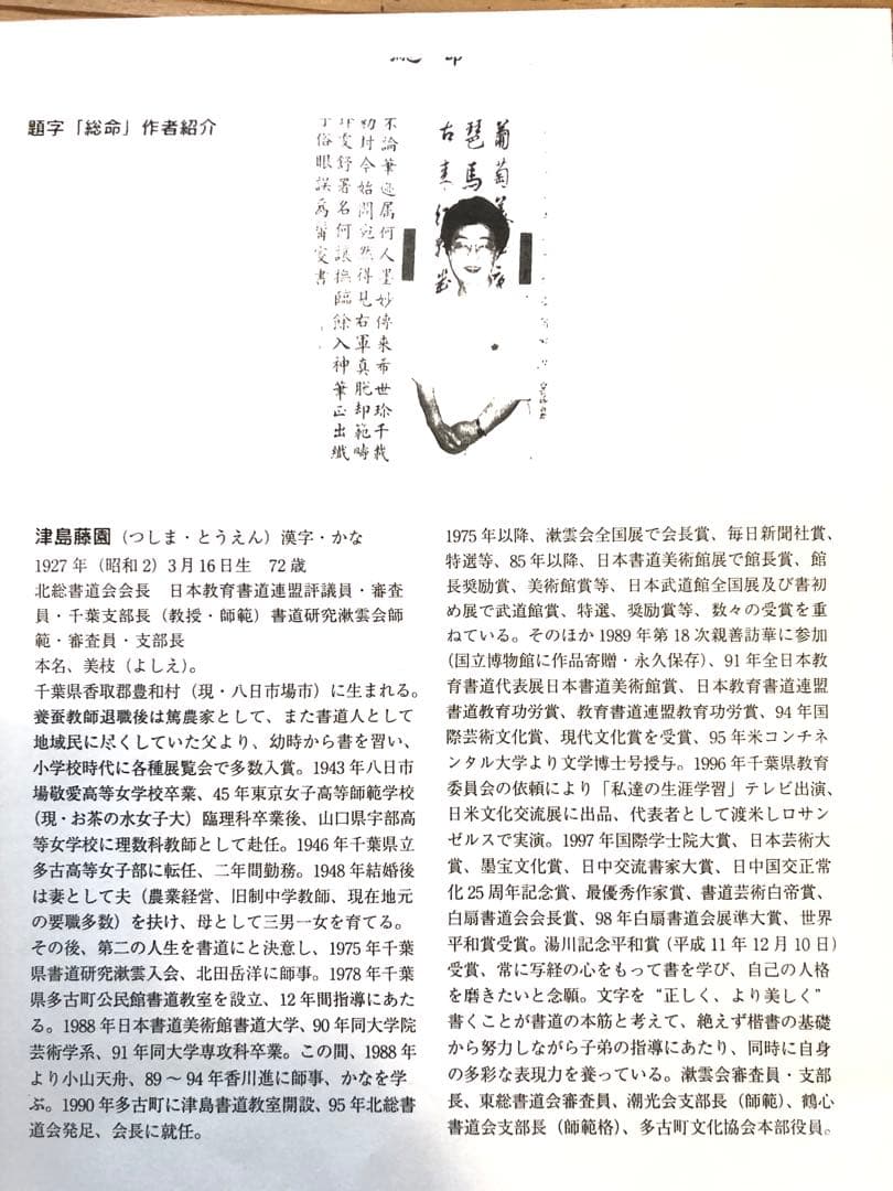 津島藤園の書道作品　「気軸慧空教」 木製フレーム