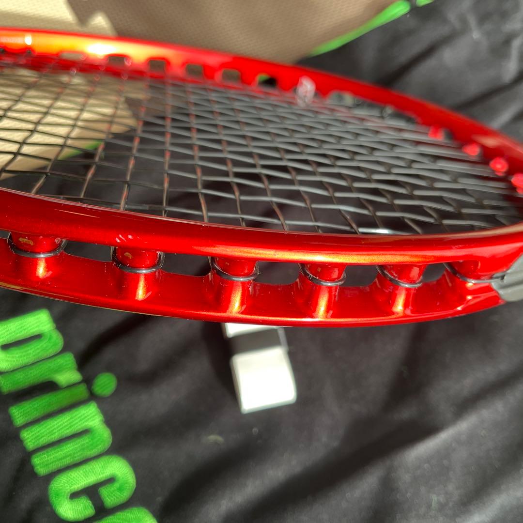 プリンスビーストマックス100（G2）300g 1か月使用美品