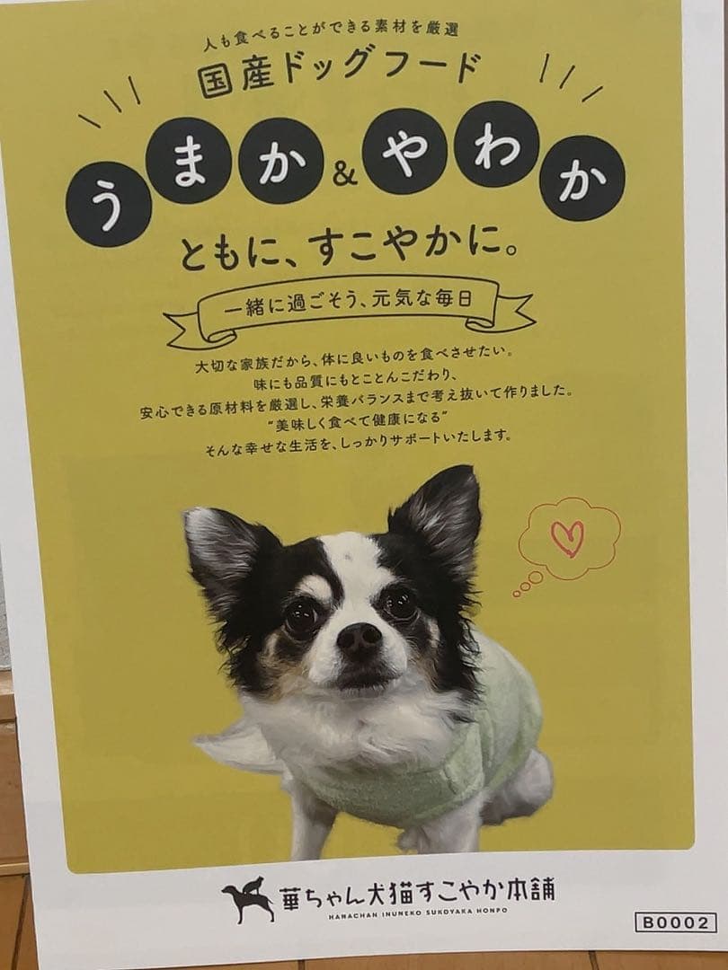 うまか プレミアムドッグフード 国産