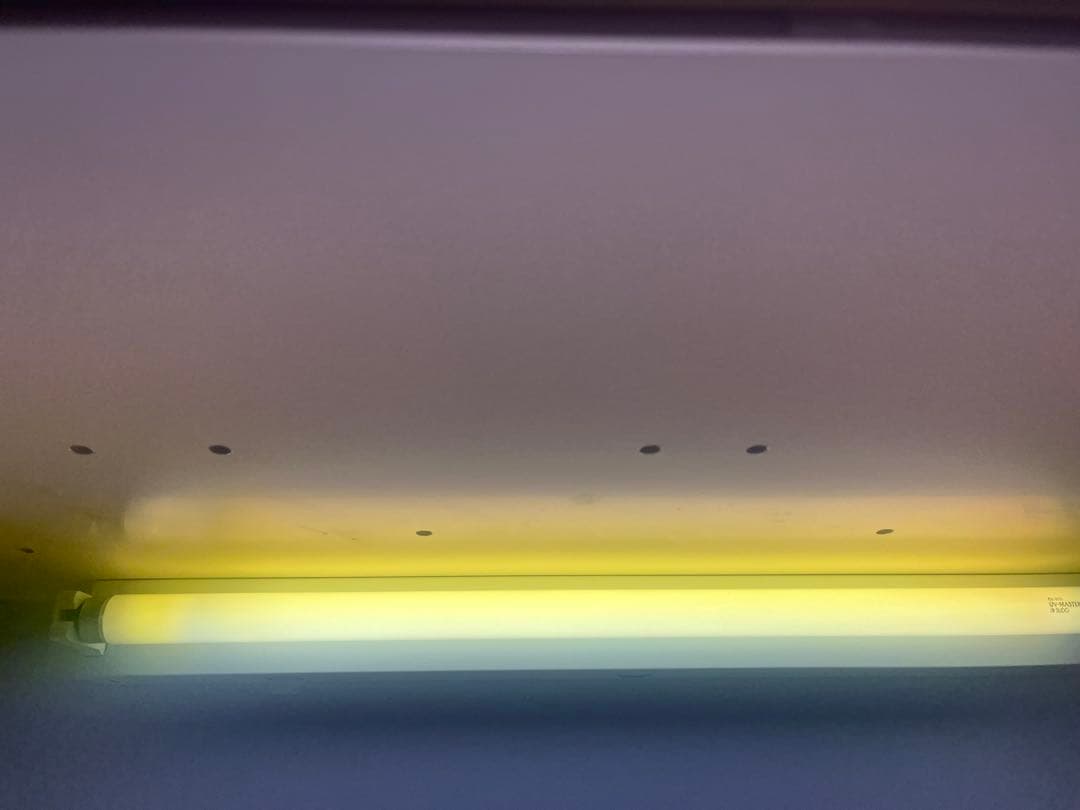 爬虫類　フトアゴヒゲトカゲ　ポポのゲージ　爬虫類ゲージ　お値下相談可