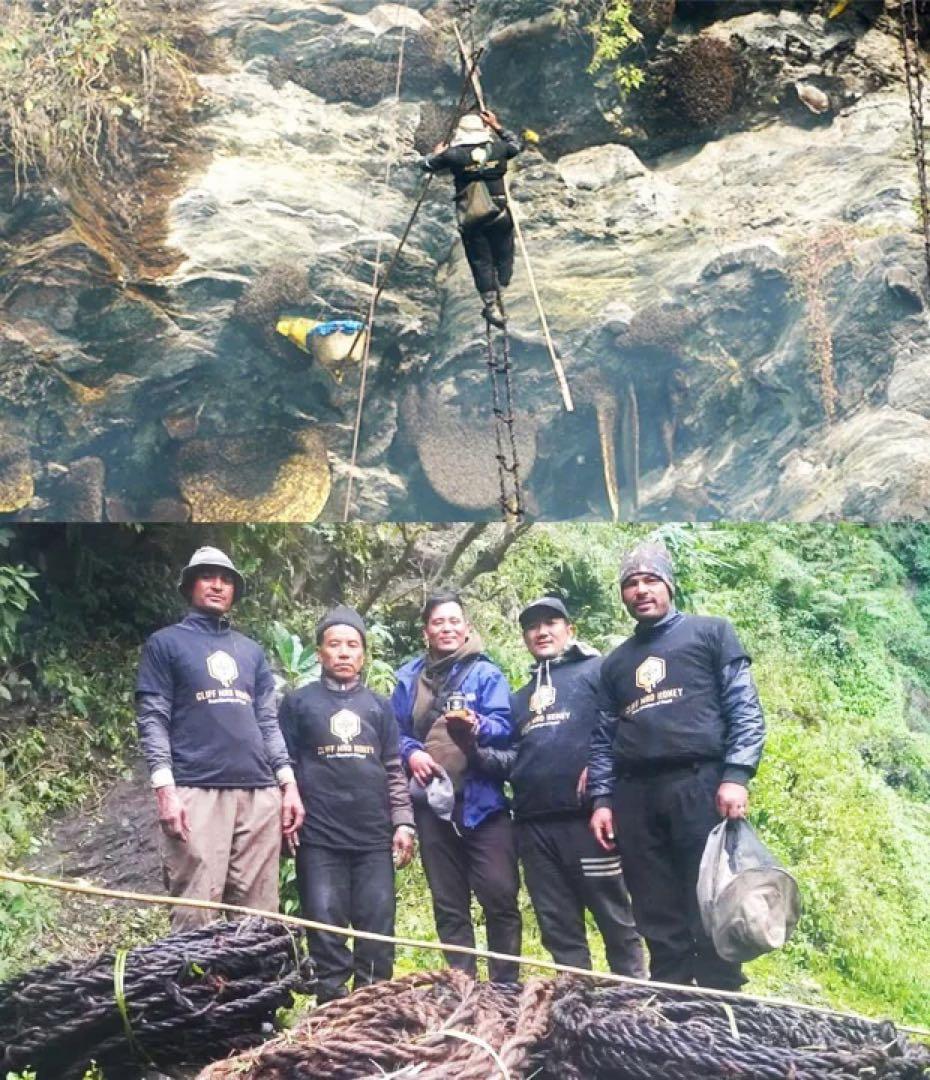 ネパール産　マッドハニー　200g✖️3