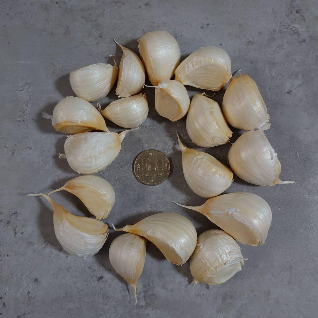 青森県産 ホワイト六片 ニンニク 4kg‼R７年産