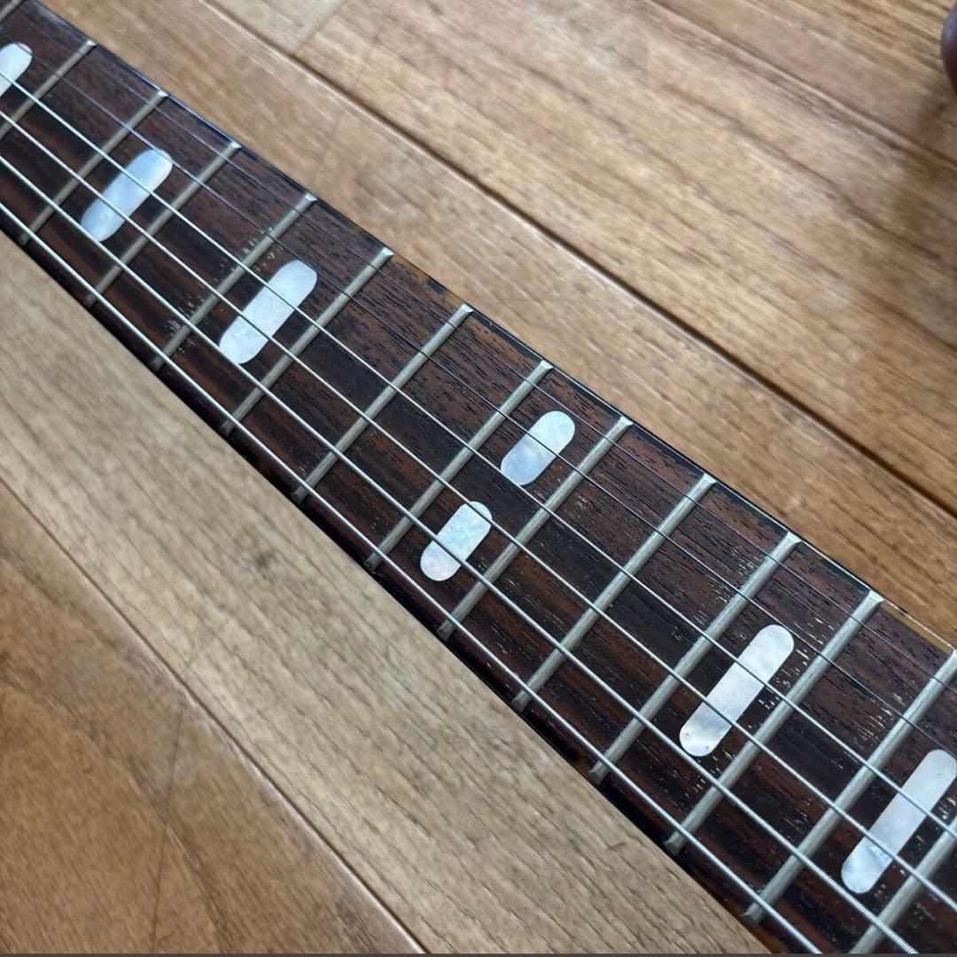 アンダーソン アップルギター