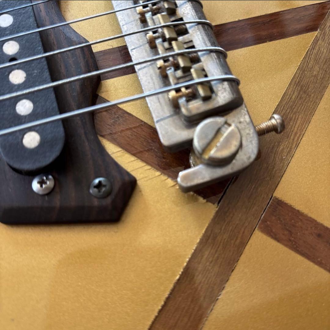 アンダーソン アップルギター