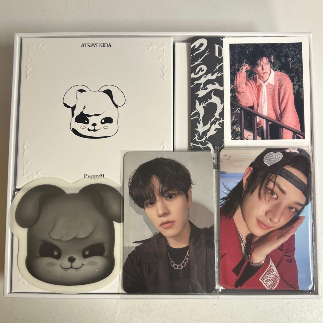 straykids do it evil skzoo スピーカー スンミン