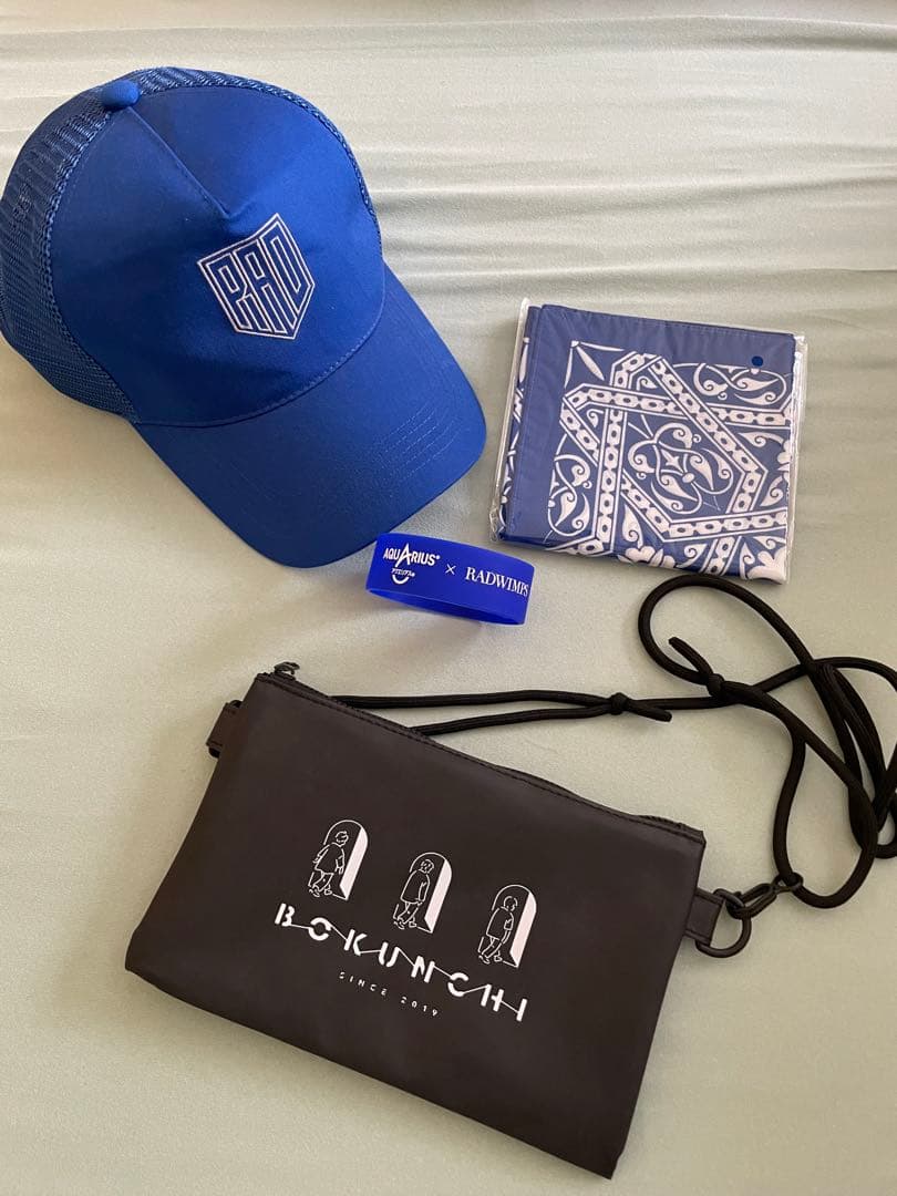 RADWIMPS 20thツアーグッズ他ツアーグッズ詰め合わせ