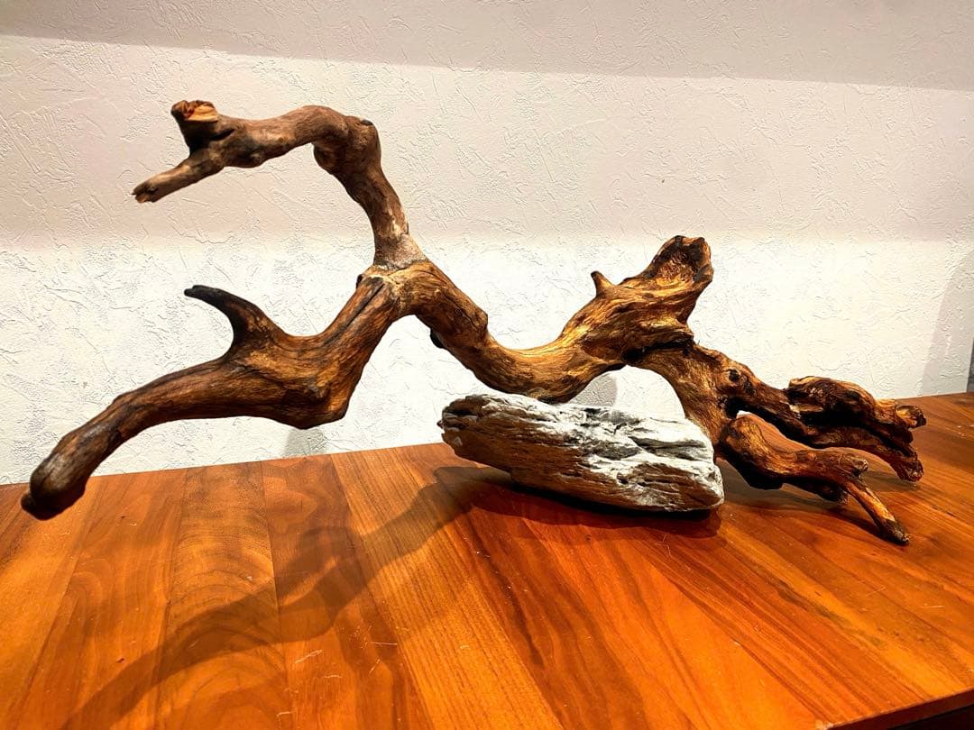 流木レイアウト A860