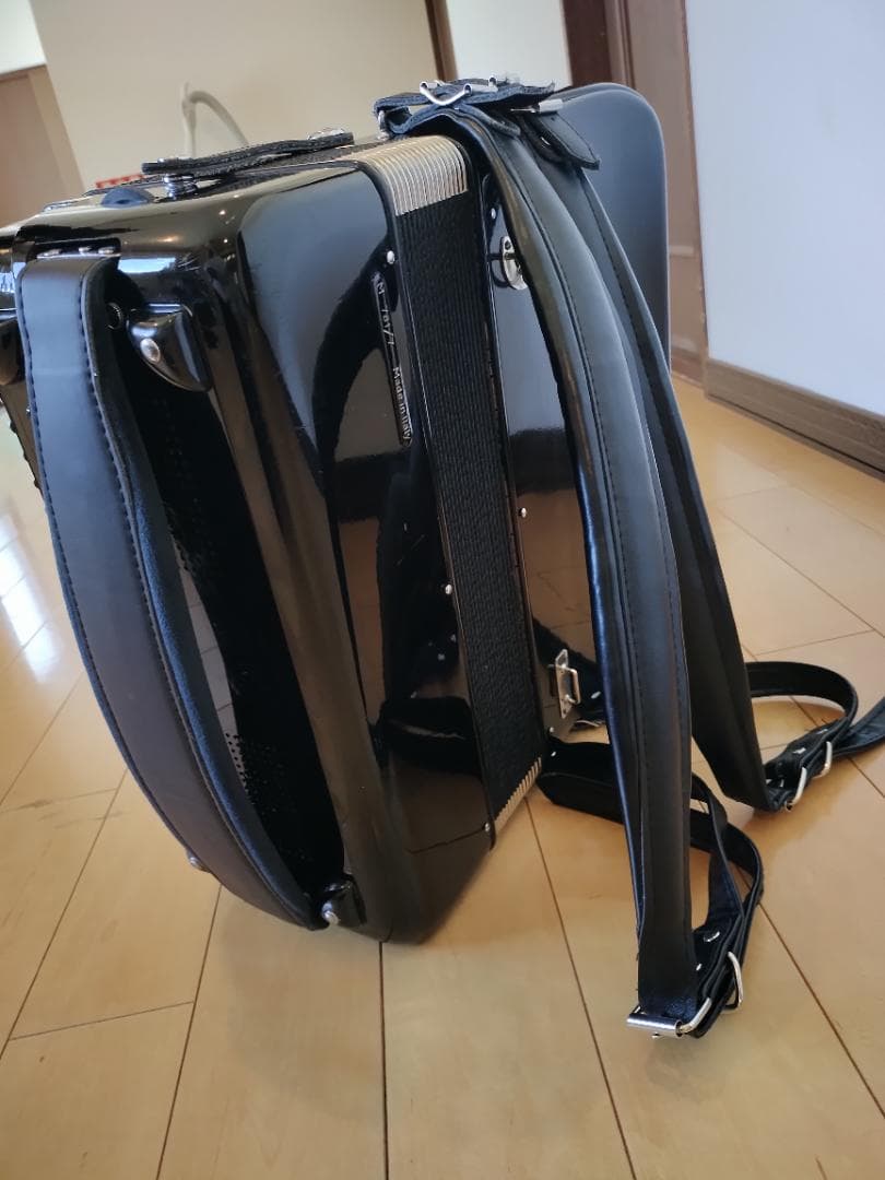 ⭐︎イタリア製⭐︎SCANDALLI ボタン式アコーディオン ソフトケース付