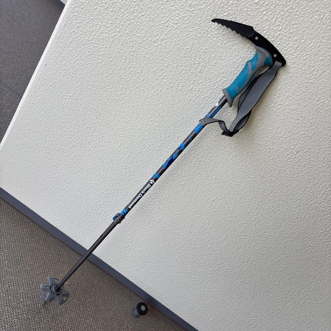  ストック　ウィペット