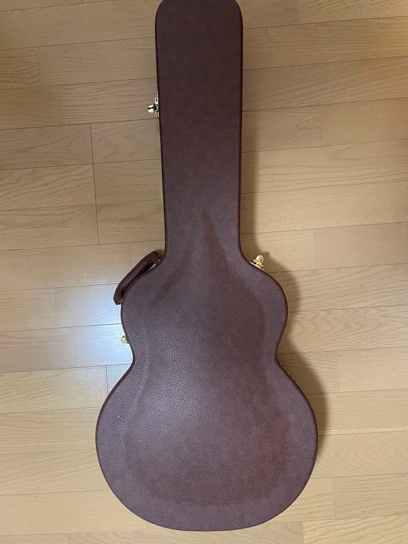 Epiphone dot セミアコ　ハードケース付き