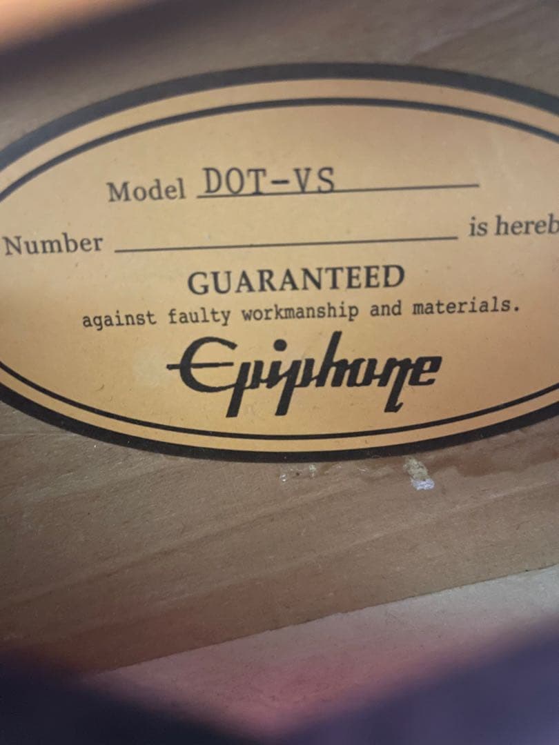 Epiphone dot セミアコ　ハードケース付き