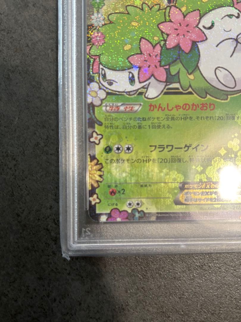 シェイミEX PSA10 ポケキュンコレクション プロモポケカ