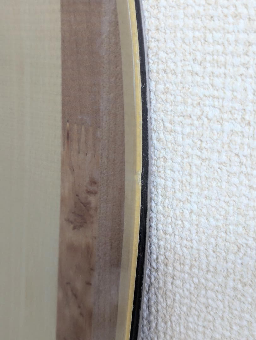 GENTEMSTICK FLOATER 162 19-20 純正ソールカバー付き