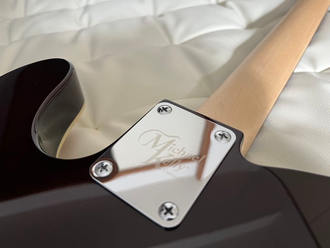 【美品】Michael Kerry Thinline 【ハードケース付き】