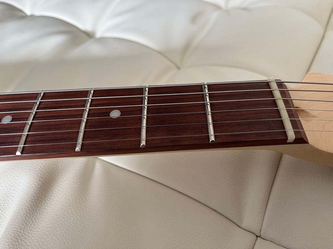 【美品】Michael Kerry Thinline 【ハードケース付き】