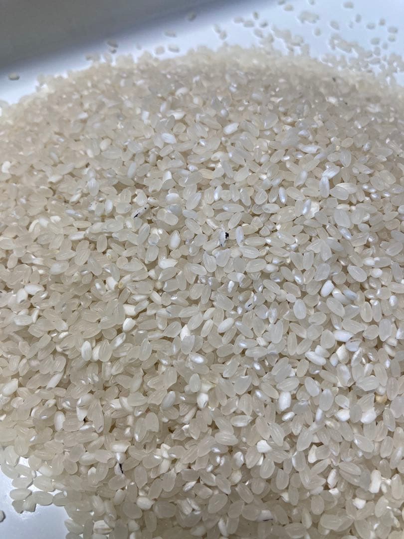 【 ニャンゴローさま専用 】 仕込味噌 5kg×2