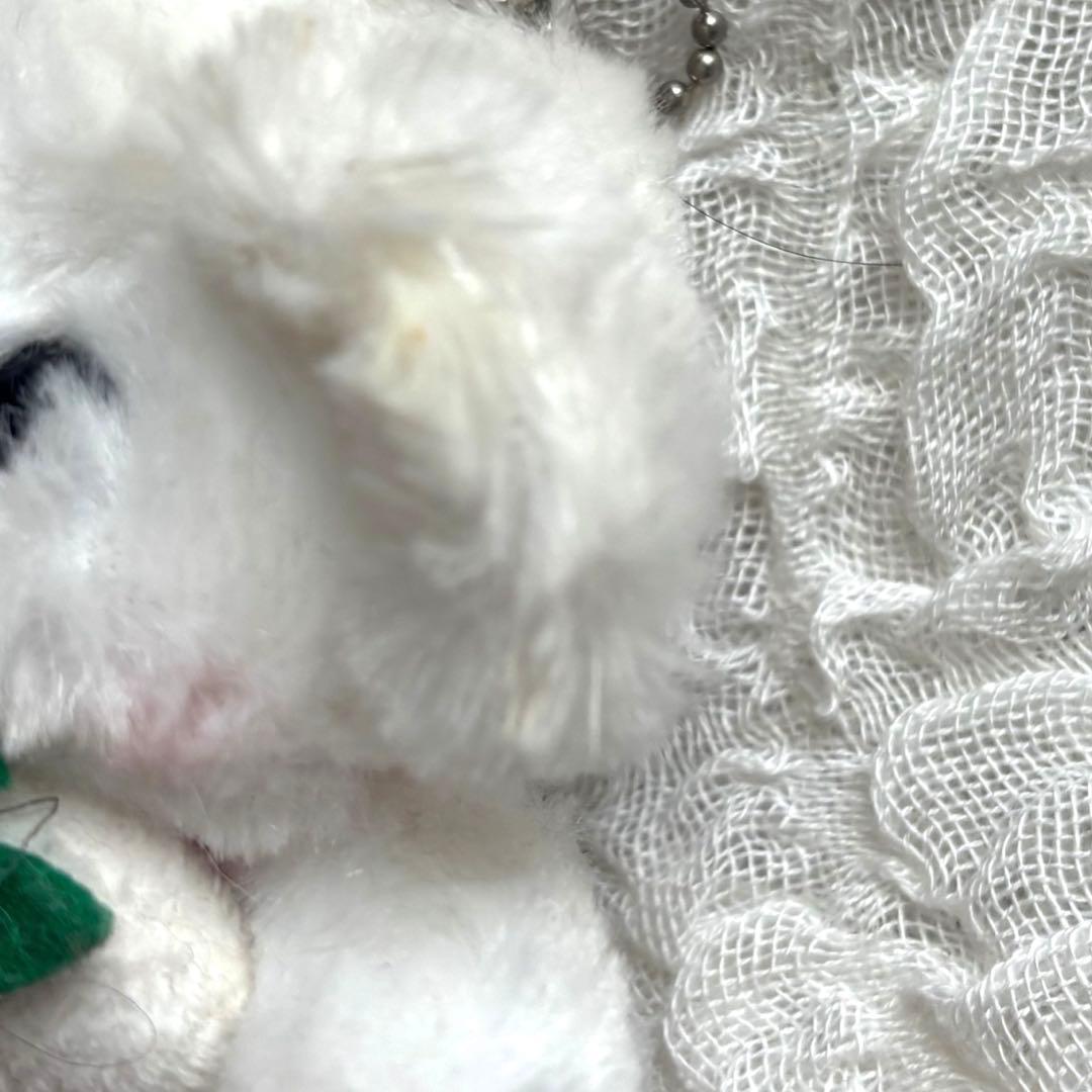 【週末限定価格】 ご当地 ベア | SS サイズ | ベア マスコット