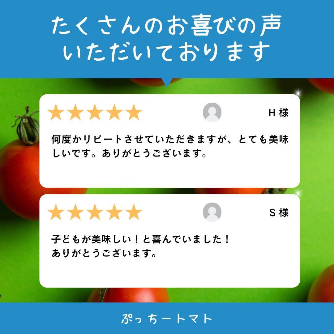 ミニトマト　9キロ　野菜　熊本　おやつ　弁当　おかず　ミネラル　リコピン