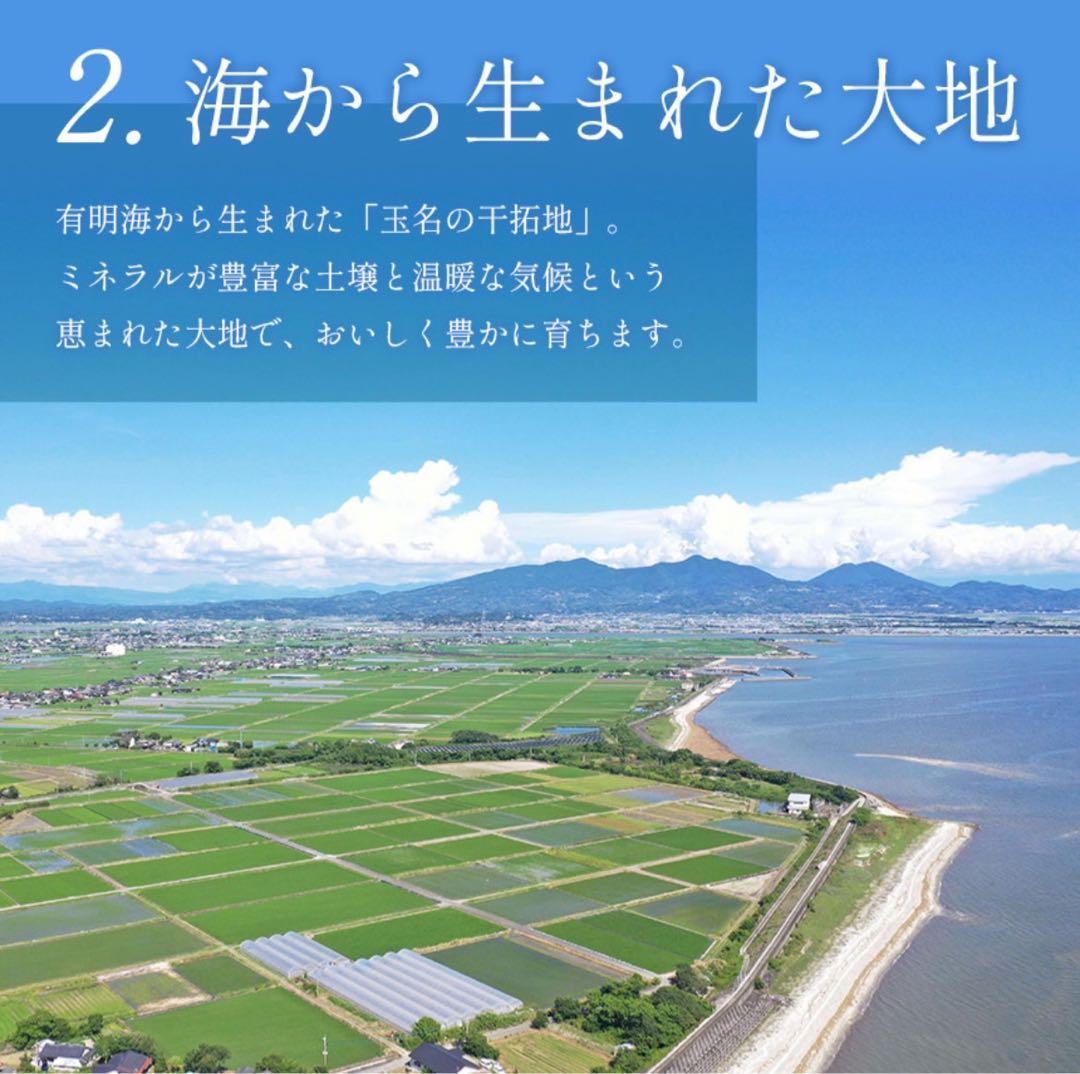 ミニトマト　9キロ　野菜　熊本　おやつ　弁当　おかず　ミネラル　リコピン