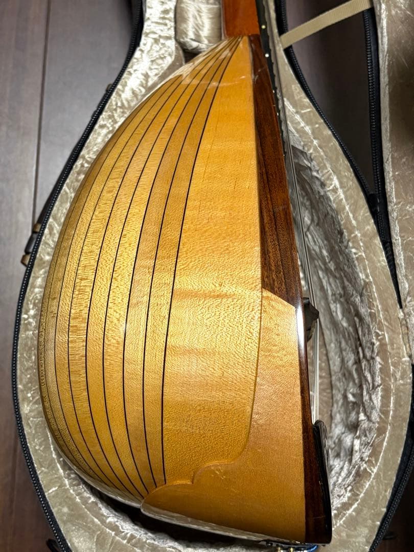 ✴︎美品✴︎お得✴︎ スズキ製マンドリン M-30 & 美品スーパーライトケース付き