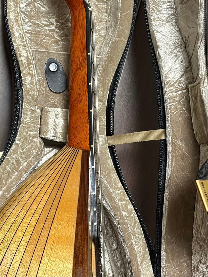 ✴︎美品✴︎お得✴︎ スズキ製マンドリン M-30 & 美品スーパーライトケース付き