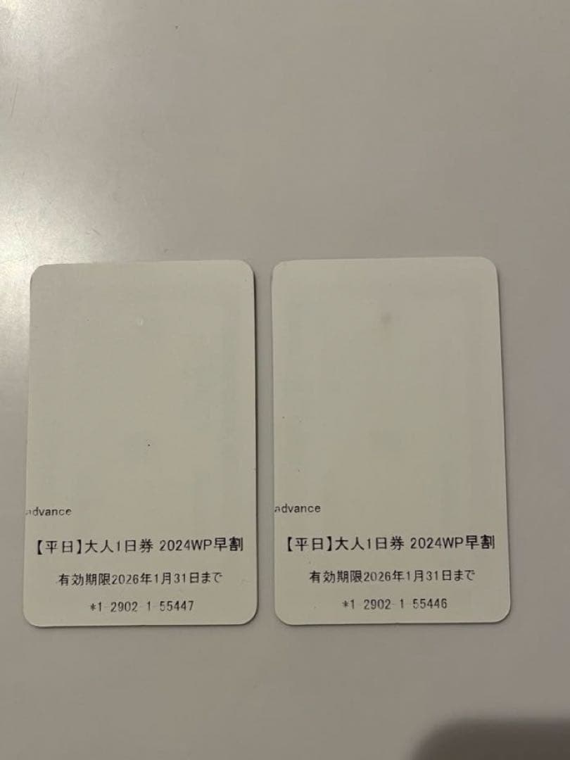 ハチ&ハチ北　平日大人1日券 ２枚セット