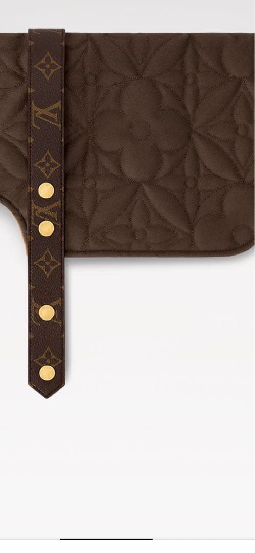 ルイヴィトン♡ドッグコートPM 試着のみ美品 正規品