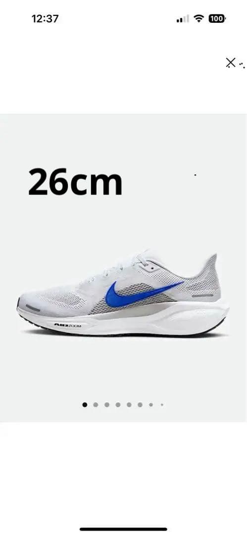 26cm ナイキ　ペガサス41