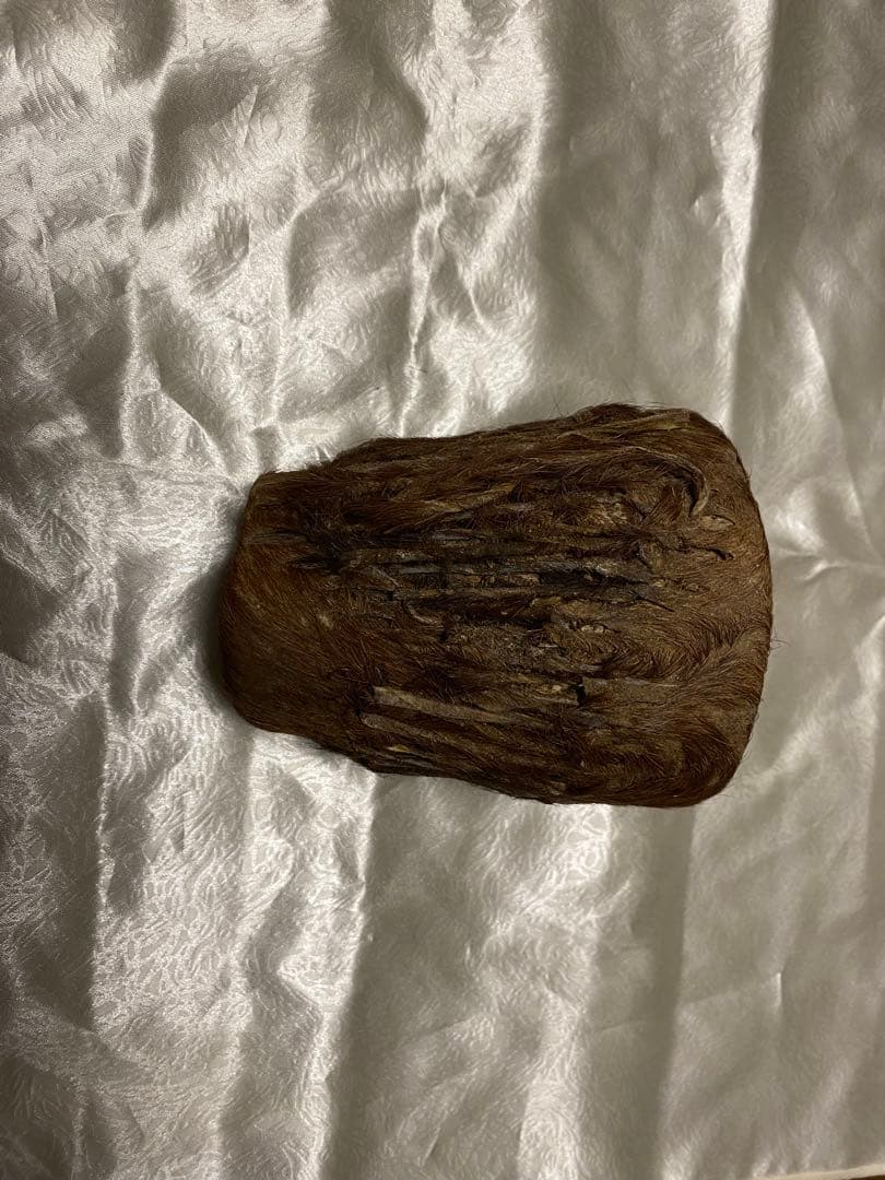 バッファロー革太鼓　ケニア　現地購入