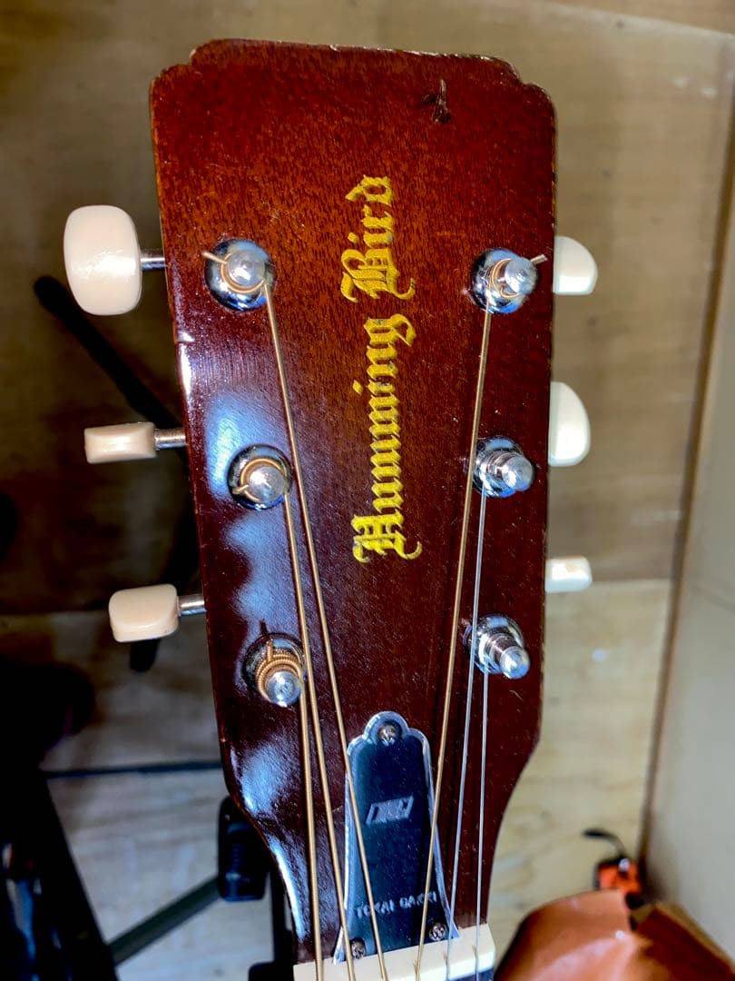 やっほー‼️貴重！トーカイTOKAI 　ハミングバード　０フレット