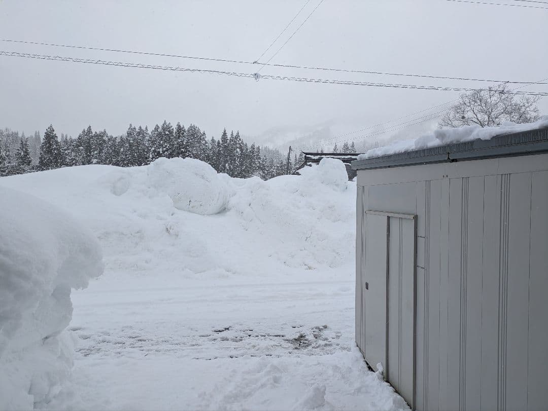 頑張ろ福島　令和７年度産会津コシヒカリ玄米30キロ着払い