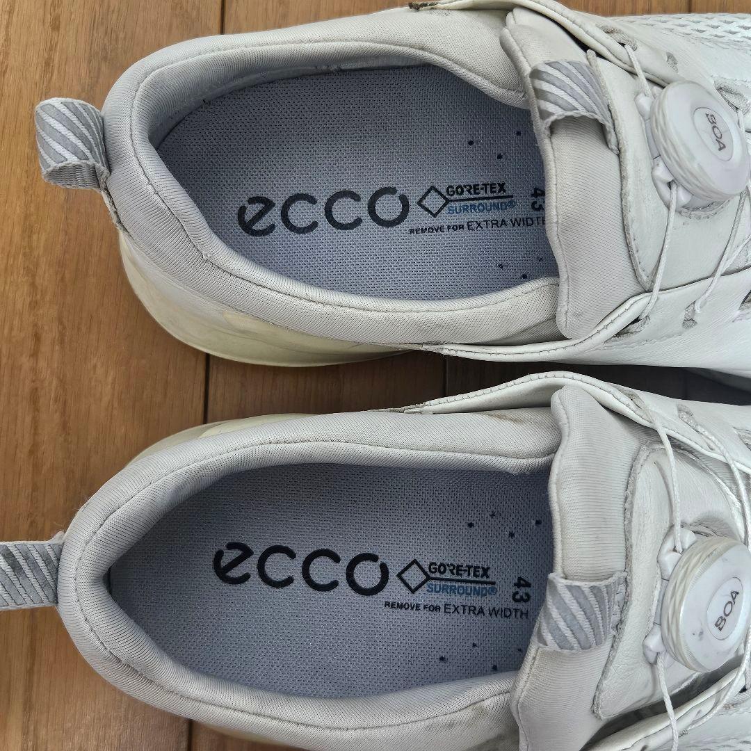 ecco BIOM COOL PRO BOA ゴルフシューズ GORE-TEX