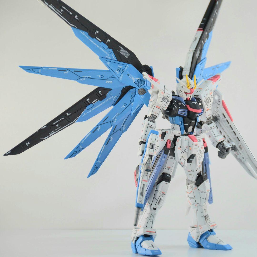 RG フリーダムガンダム 塗装 完成品 バンダイ ガンプラ 1/144