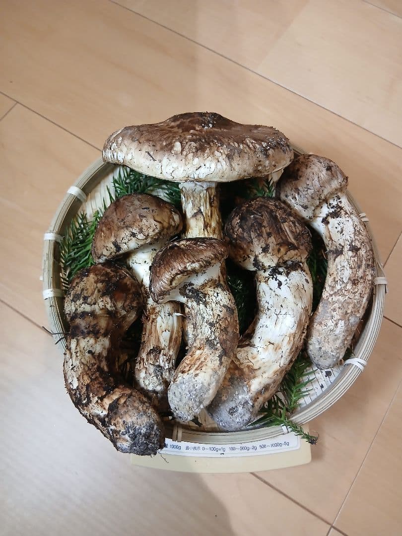 原田ページ　山形県産松茸