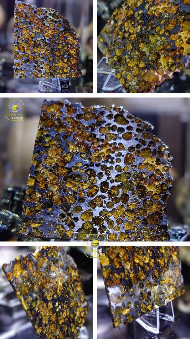 隕石スプリングウォーター パラサイト 91.5g❗ Springwater⭐⭐⭐