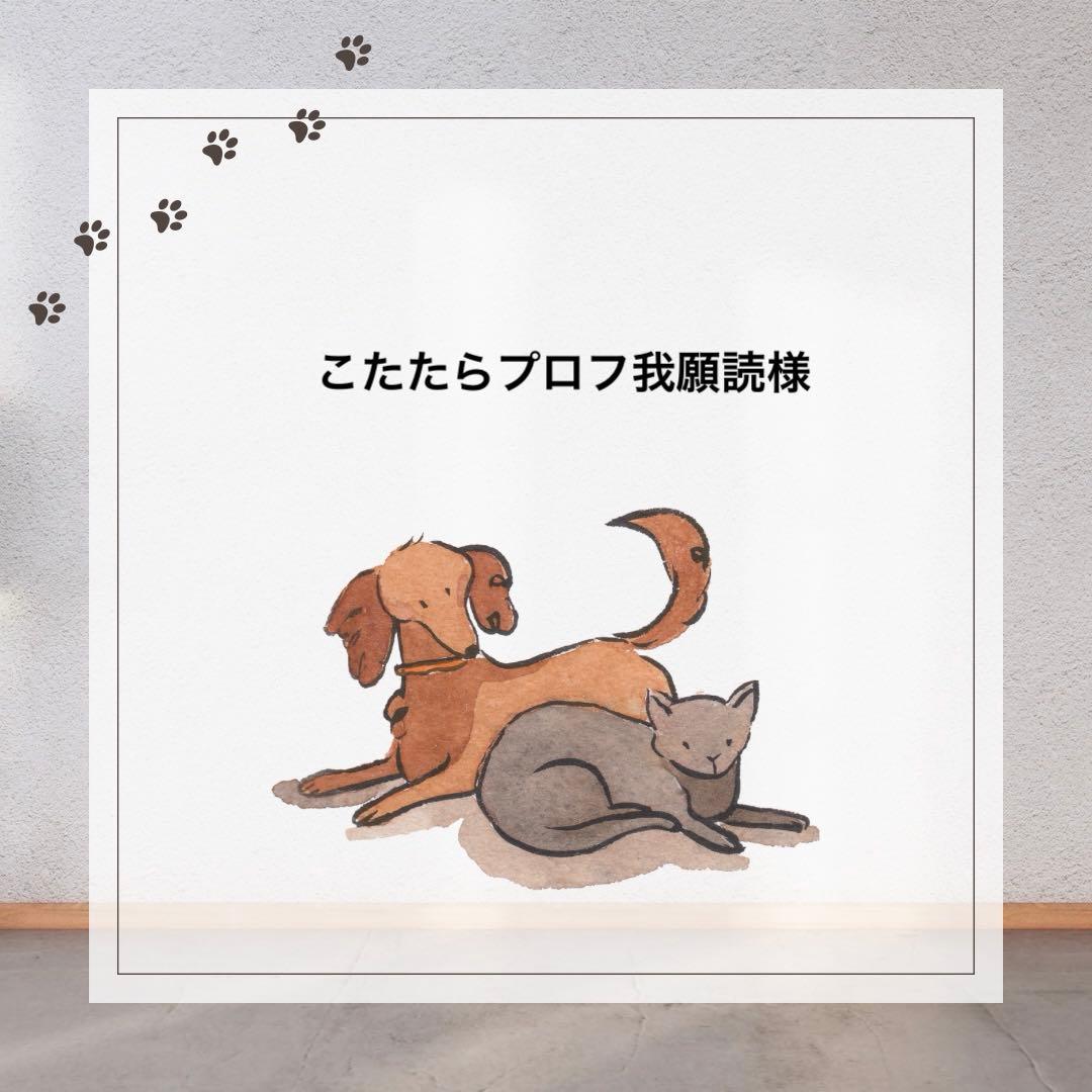 こたたらプロフ我願読様