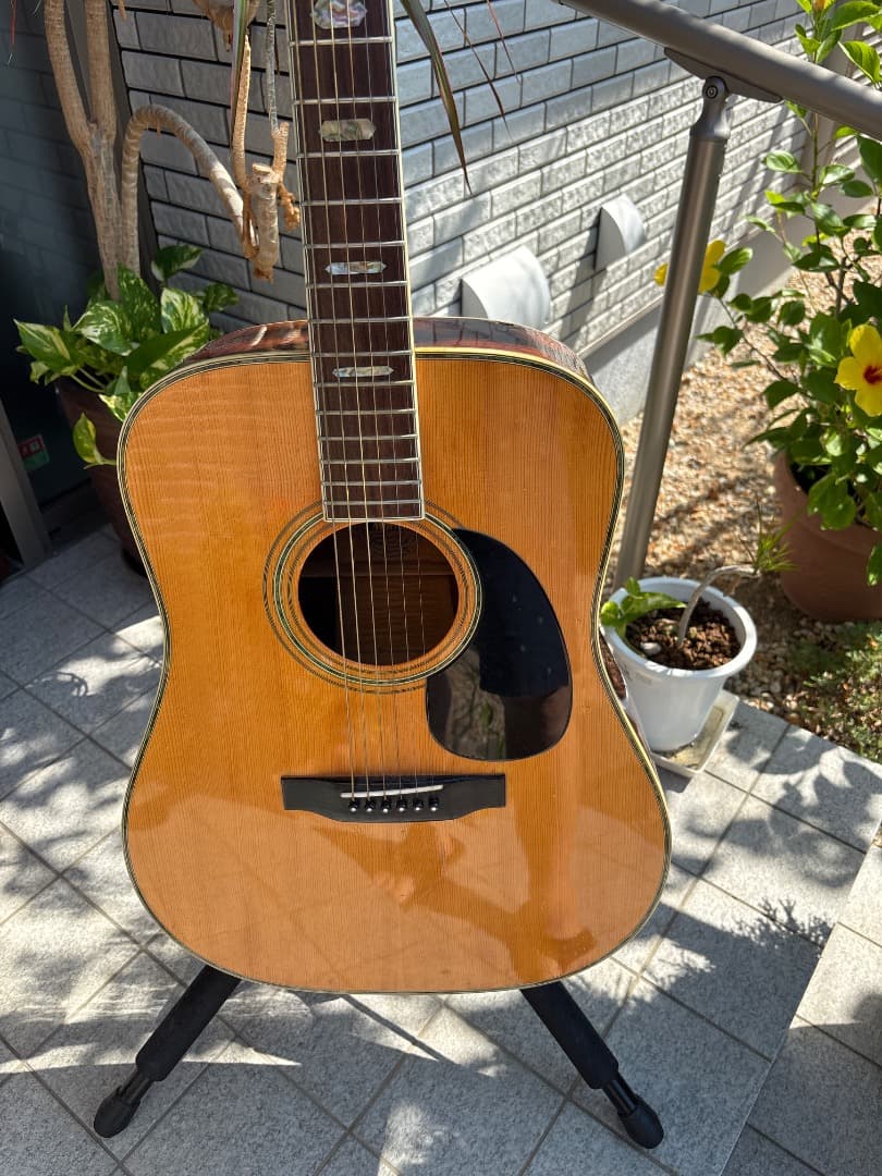 Morris W-60 トップ単板　サイド、パックはハカランダ