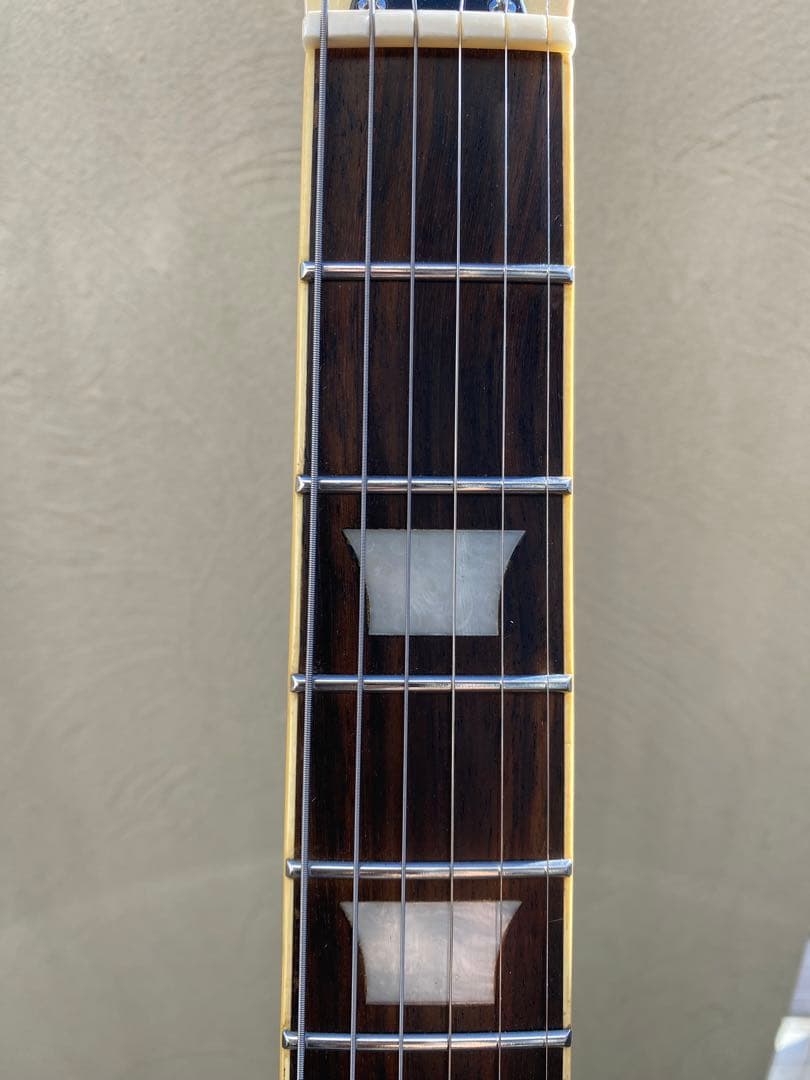 レスポールタイプ(エレキギター)