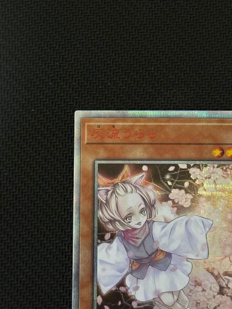 遊戯王OCG 灰流うらら　20th