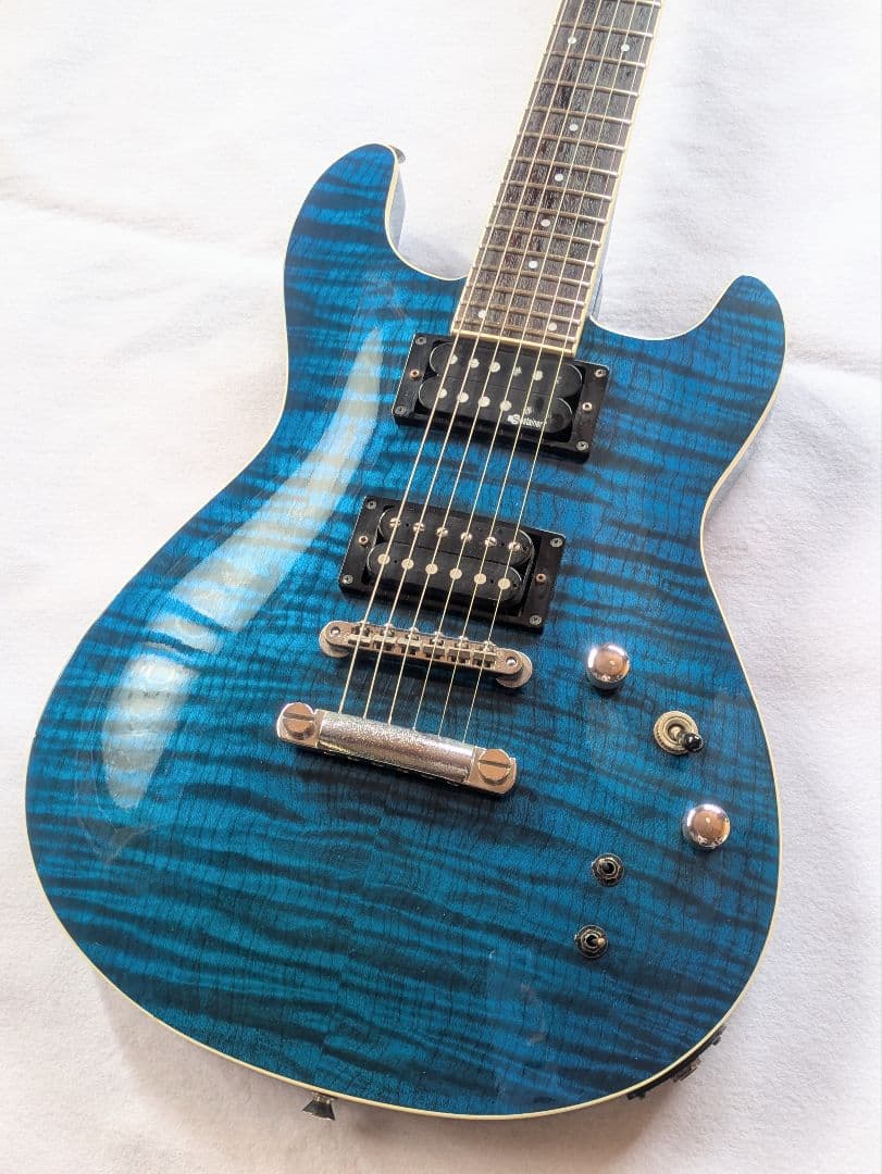 FERNANDES APG-55S Blue フェルナンデス　サスティナー
