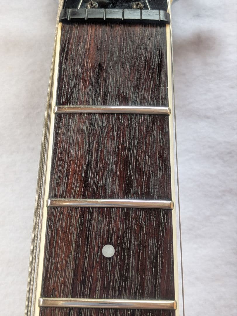 FERNANDES APG-55S Blue フェルナンデス　サスティナー