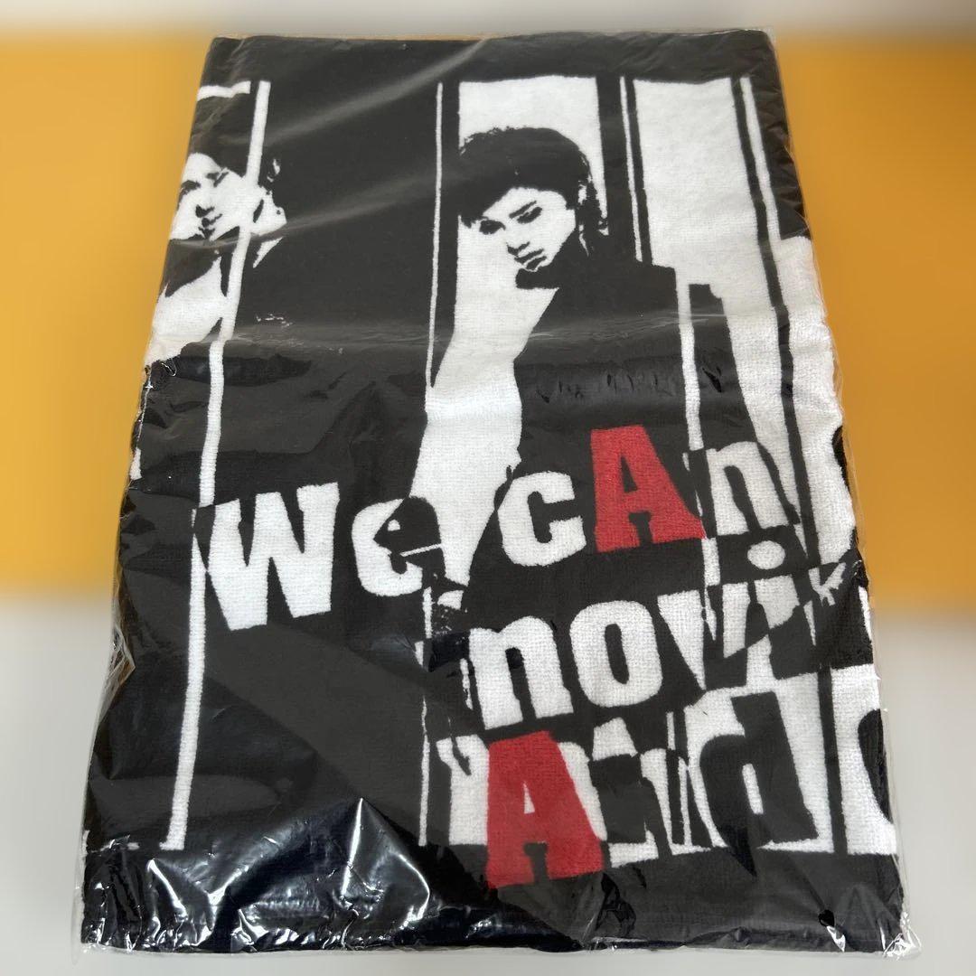 AAAグッズ 15点まとめ売り 「パンフ、ファイル、タオル、Tシャツ、他」