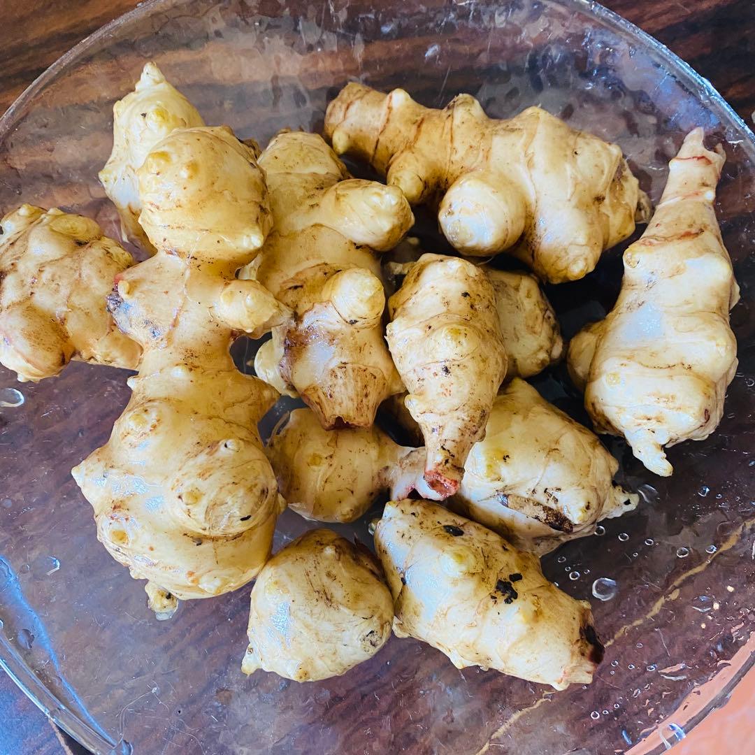 【訳あり】ほりたて菊芋　みかん箱3箱分相当詰めます！30キロ目安　常温発送