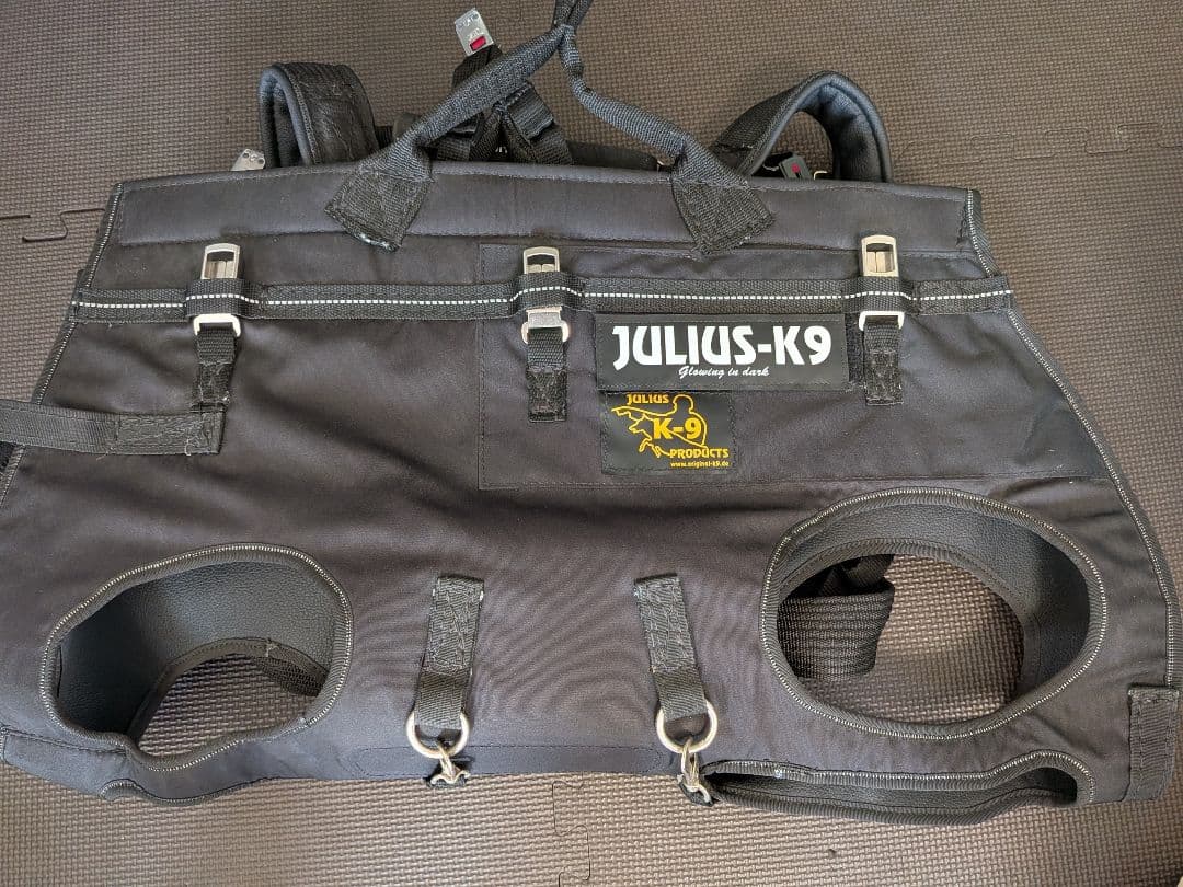 JULIUS-K9 降下用ハーネス　災害時に大型犬を背中に担いで運べますサイズL