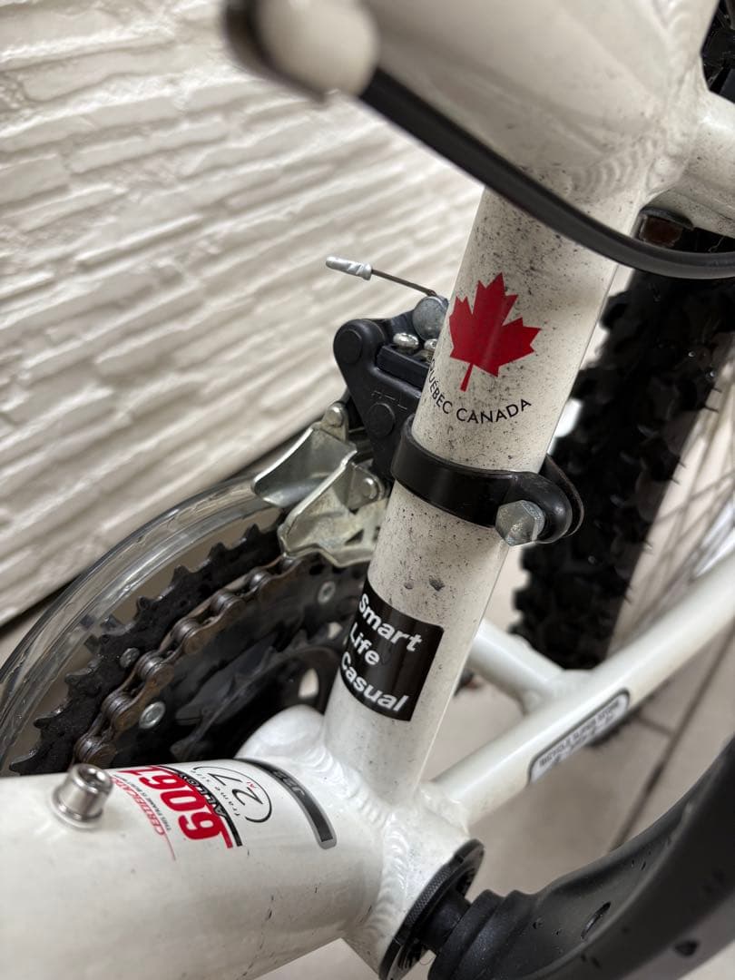 キッズ用自転車 ルイガノ（22インチ）