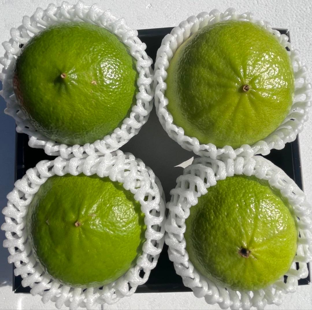 国産ベルガモットオレンジ香りが強い露地栽培約9kg 送料込み 【A品】L〜LL