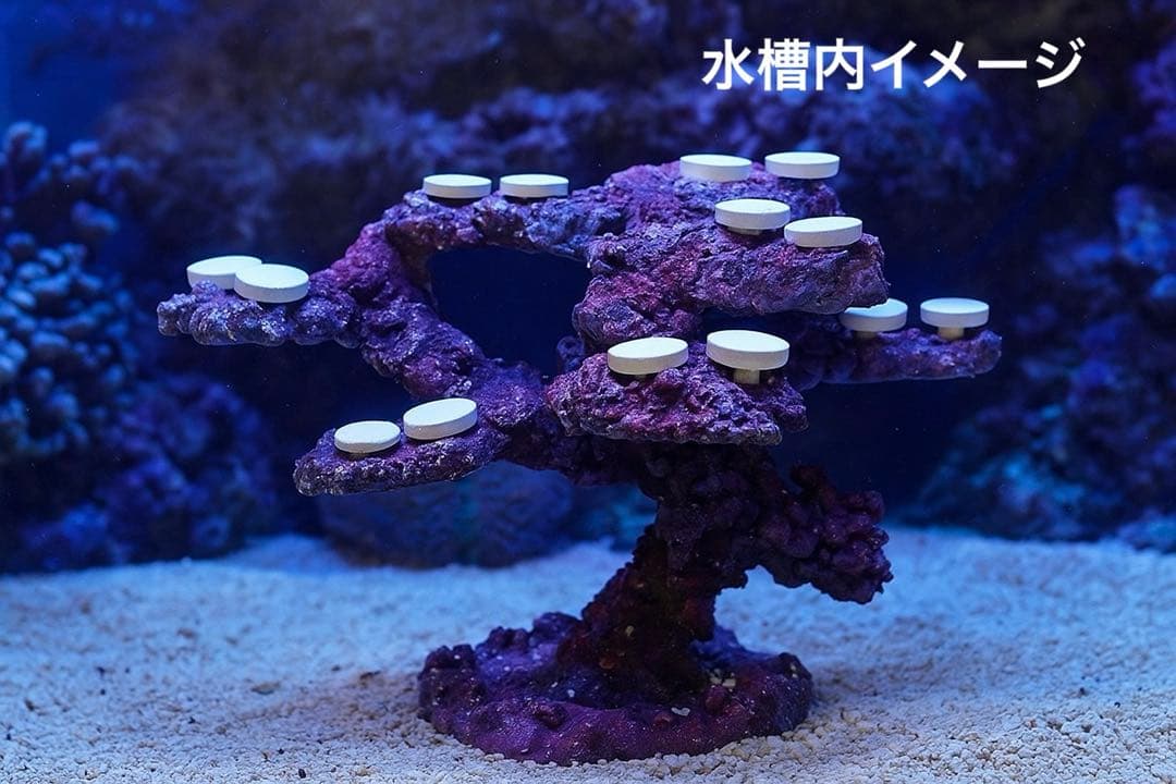 【送料無料】人工ライブロック　PHR17／15穴加工　アク抜き済み安心塗料使用