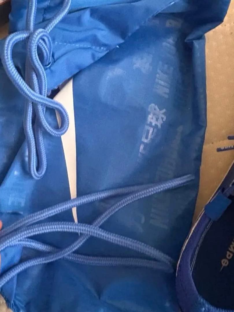 ナイキ　ティエンポレジェンド10エリートFG 24.5