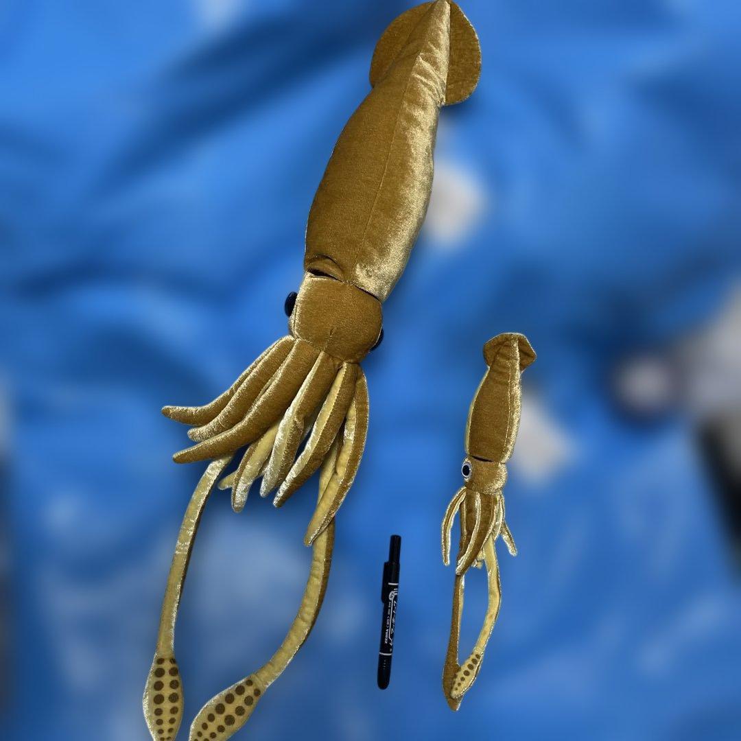 ダイオウイカのぬいぐるみ