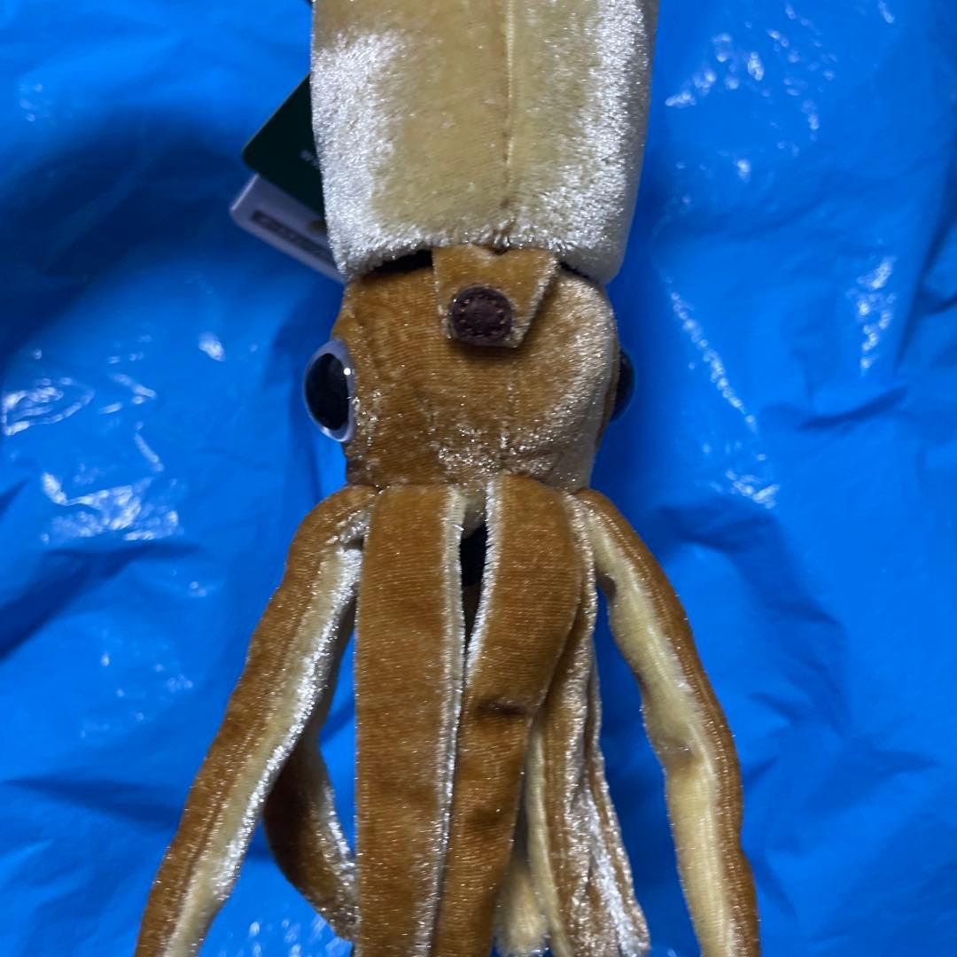 ダイオウイカのぬいぐるみ